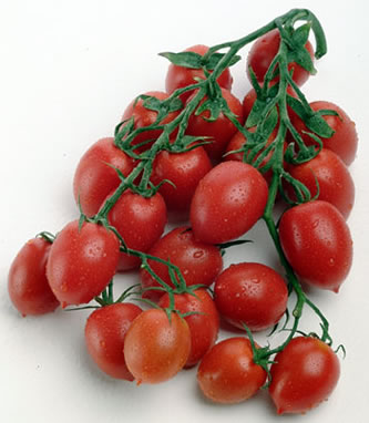 Pomodoro Piccadilly